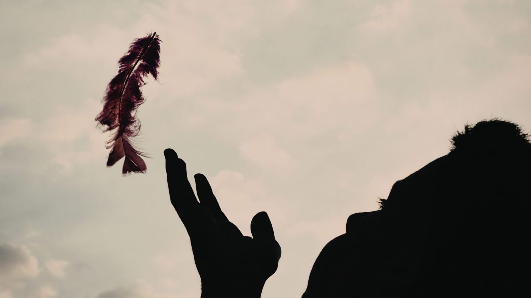 Person releasing a feather during a quiet moment of remembrance