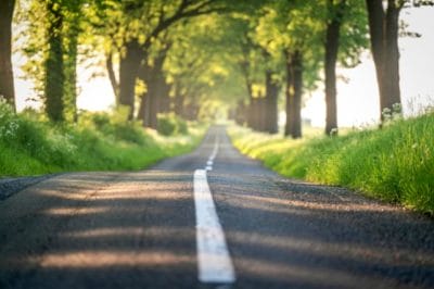 Peaceful road representing the simple step-by-step process of arranging cremation online