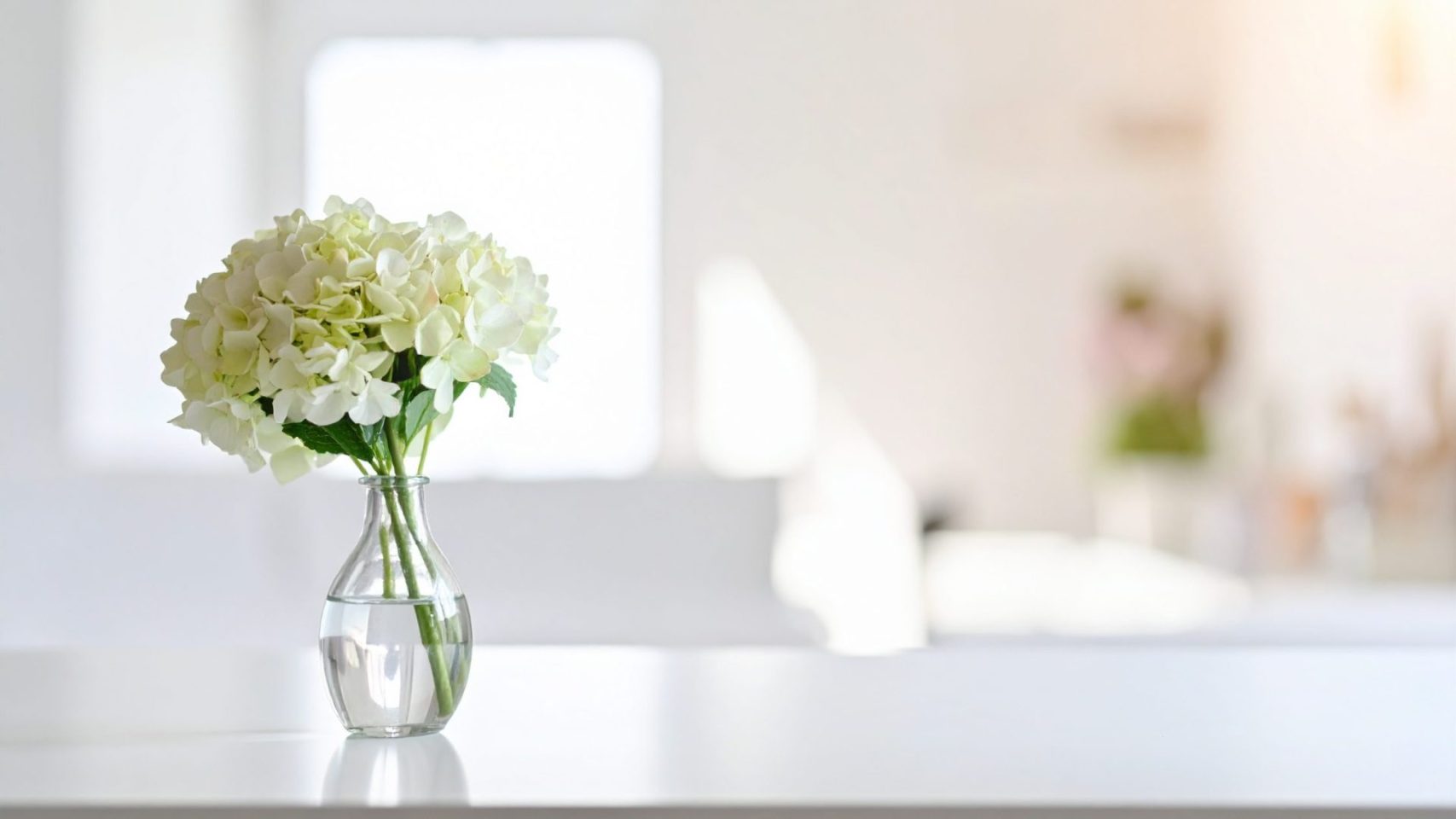 White hydrangeas representing compassionate cremation services in Richmond, TX
