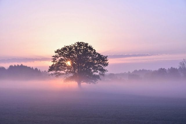 How Long Does Cremation Take in Texas?