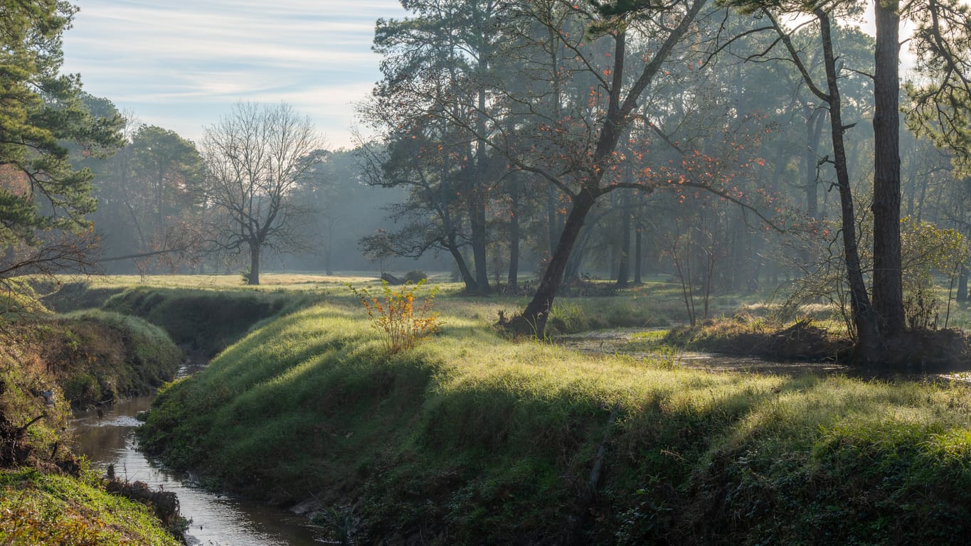Peaceful forest setting in The Woodlands Texas for cremation remembrance