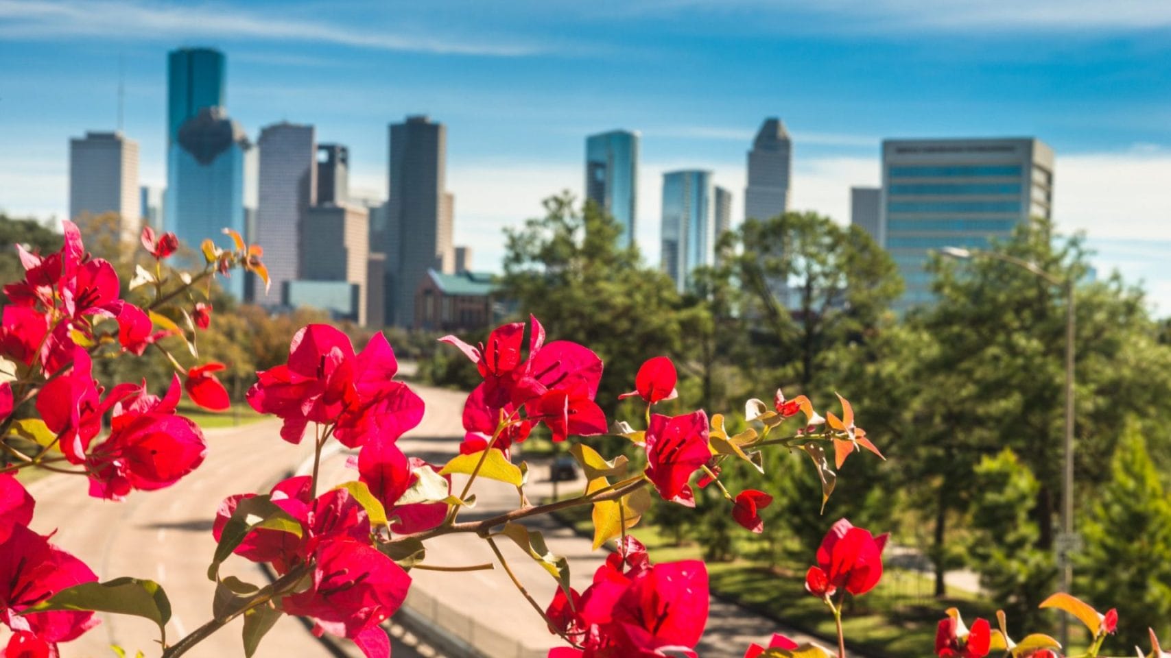 Harris County Cremations: What Families Should Know