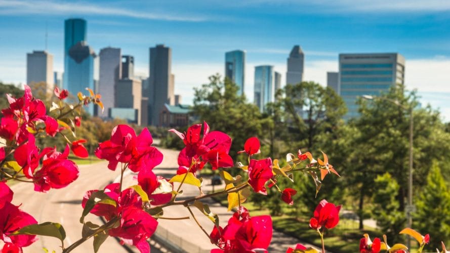 Harris County Cremations: What Families Should Know image
