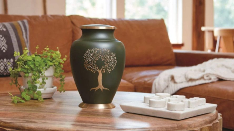 What Can You Do With Ashes After Cremation? Meaningful Memorial Ideas image