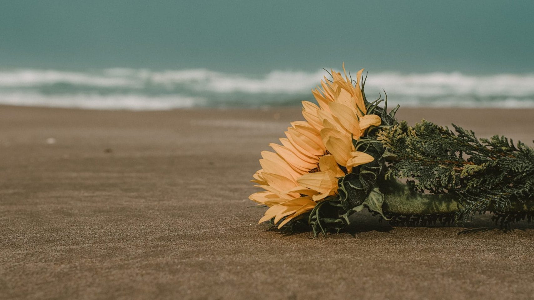 Flowers resting on a Galveston beach as a symbol of a meaningful memorial service after cremation.