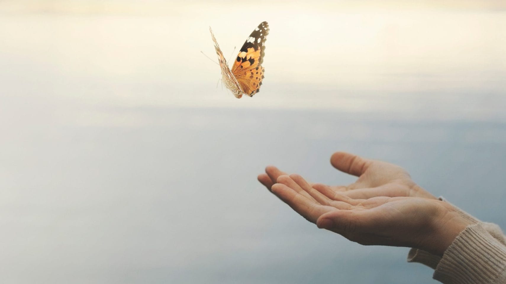 Symbolic butterfly release honoring a loved one after cremation in Kingwood Texas