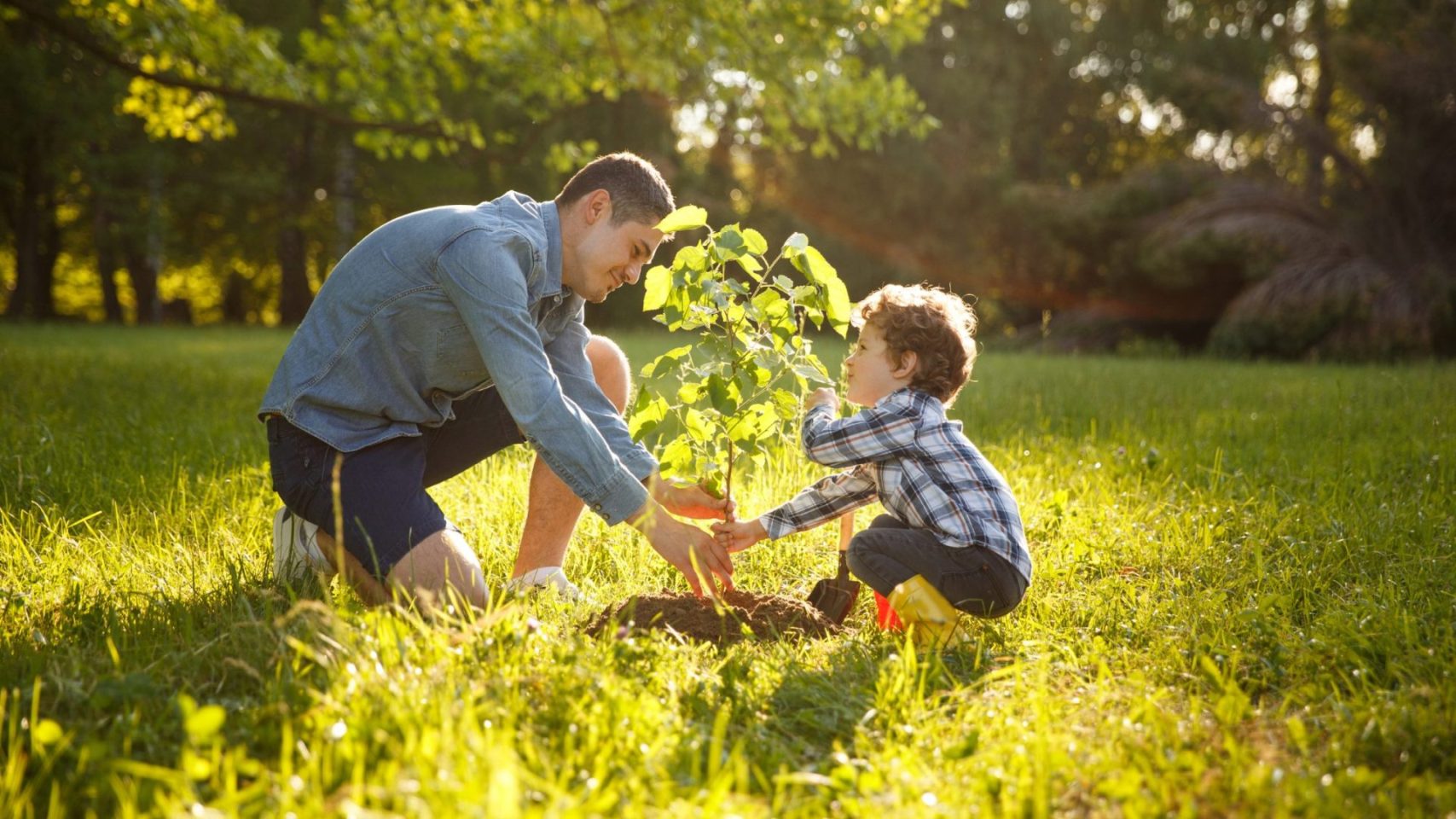 Father and child planting a tree as a living memorial after cremation