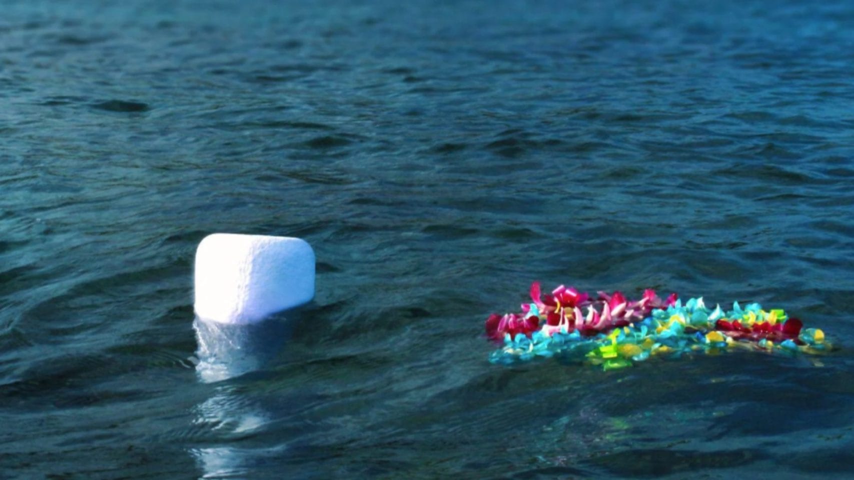 Biodegradable water scattering urn floating beside flowers during an ash scattering.