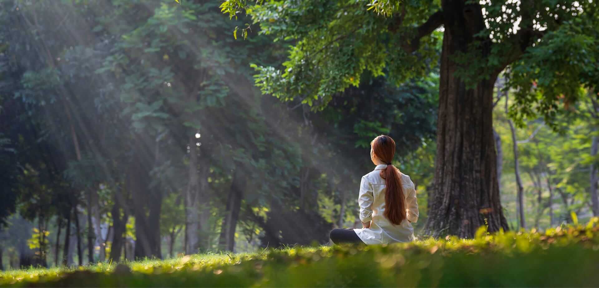 A woman sits on grass in a sunlit park, surrounded by trees as soft rays of light filter through the leaves.